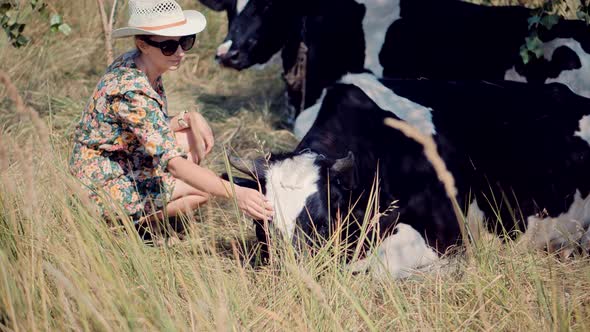 Woman In Hat Touching And Caress Cow. Farm Animals In Summer Carefree Tourist In Dress. alt