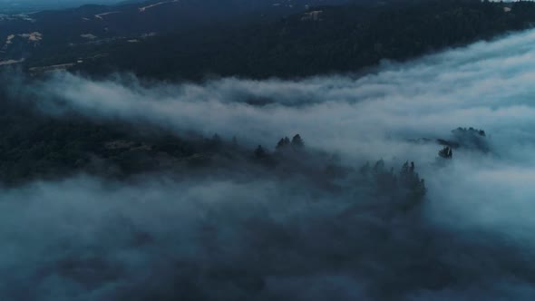 Low Fog Rolling on The Hills alt