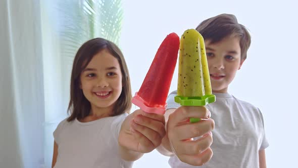 Cute Children a Girl and a Boy Hold in Their Outstretched Hands a Multicolored Homemade Ice Cream