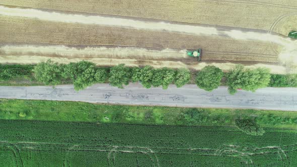 Aerial View of a Harvester That Works in the Field and Collects Ripe Wheat