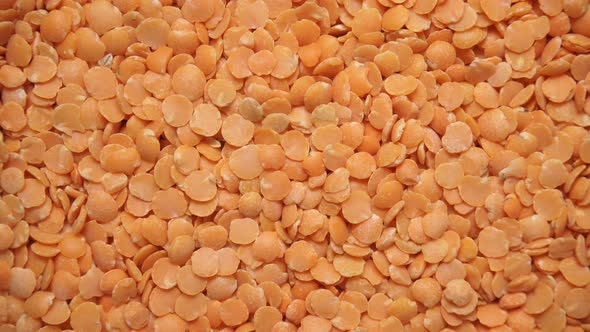 Red Lentils as Food Background alt