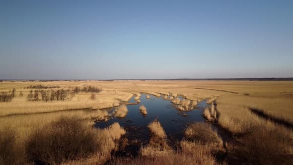Aerial view of the lake overgrown with brown reeds, lake Pape nature park, Rucava, Latvia, sunny spr alt