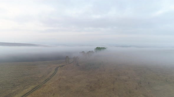 Flying Over Foggy Fields alt