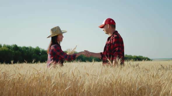 Farmers Talking in a Wheat Field Against Sunset alt