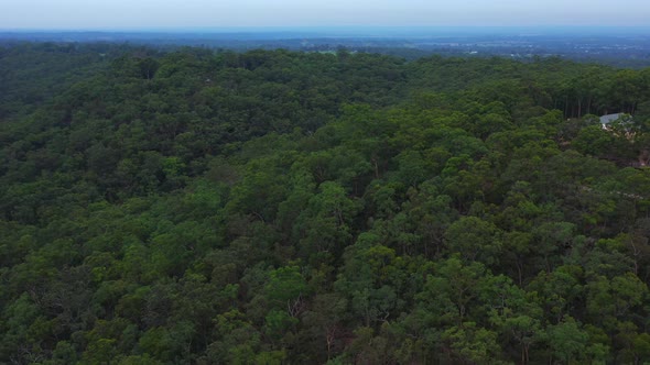 Aerial crane shot of an epic scene of rural Sydney Australia, Houses and green tree dense hilly fore alt