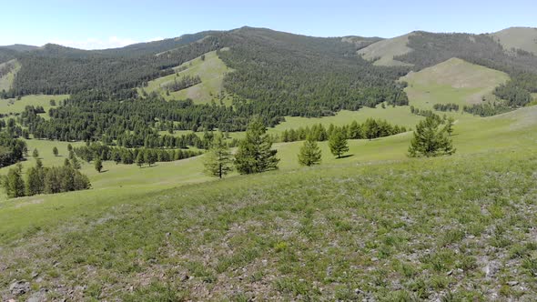 Green Meadows in The Sparsely Wooded Between Forest Covered Hills with Aerial View alt