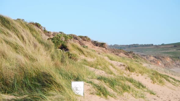 Beach and Coastline of Phillip Island Australia alt