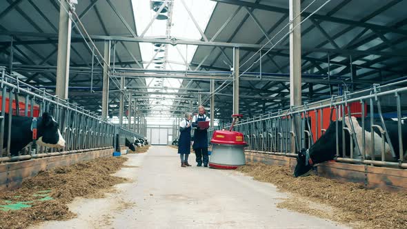 Two Farm Specialists are Walking Next to the Feed Pusher alt