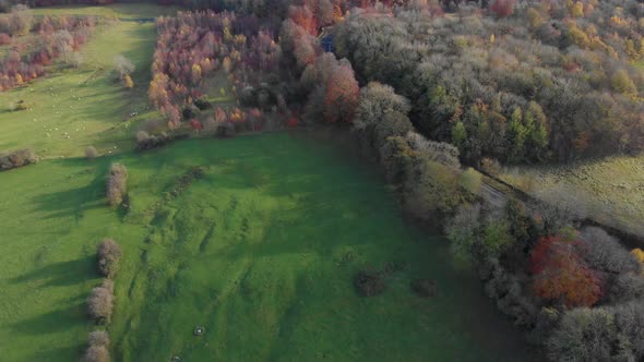 Autumn English Landscape Woodlands Pastureland And Road Cotswolds Aerial Panning Up
