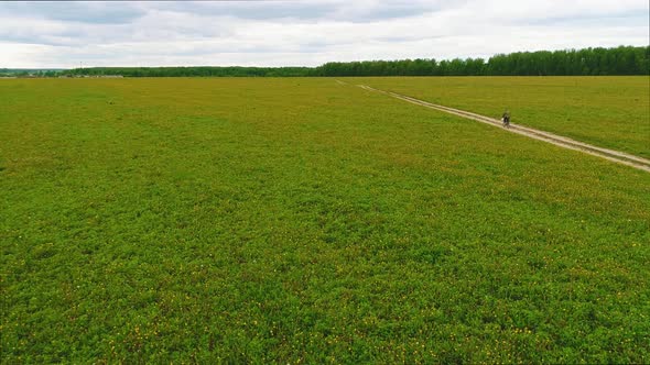 A Man Rides a Bicycle on a Rural Road Among Fields and Meadows, Drone Footage alt