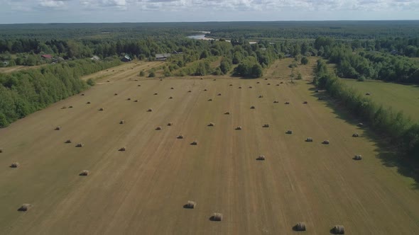 On a Bright Summer Day a Drone Flies Over a Farm with a Meadow Baled with Hay