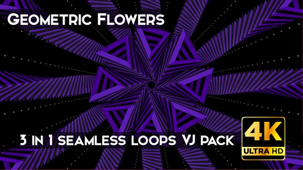 Geometric Flowers VJ Loops