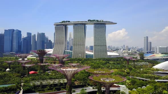 Aerial View of Supertree Grove, Gardens by the Bay and Marina Bay Sands