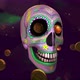 Mexican skull with coins - VideoHive Item for Sale