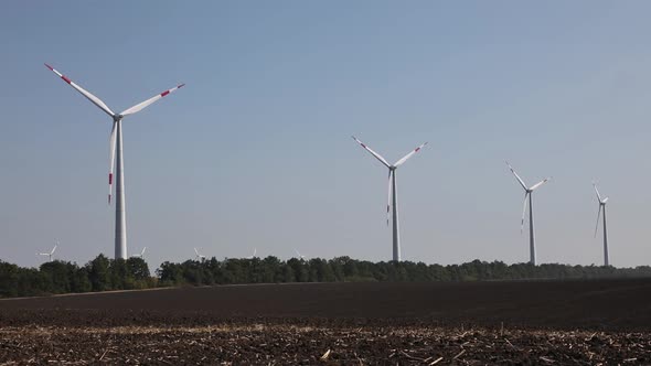 Row of Wind Farms in Action