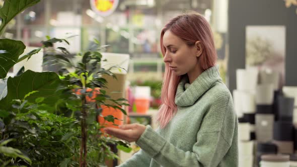 Blonde Woman Choosing Plants at Flower Market in Garden Shop alt