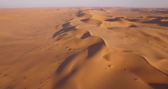 Endless Desert and Sand Dunes 