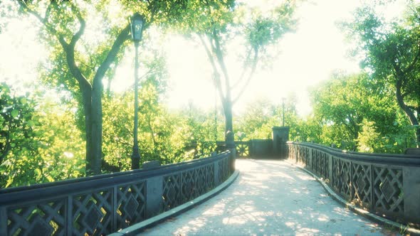 Peaceful Park in the City alt