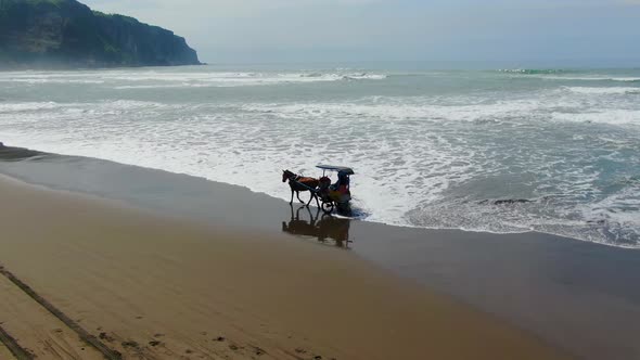 Aerial, traditional Javanese horse carriage on Parangtritis beach, Indonesia alt