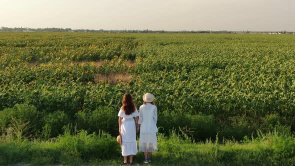 Aerial View of a Field of Blooming Sunflowers Next to Which are Two Young Ladies in White Dresses alt