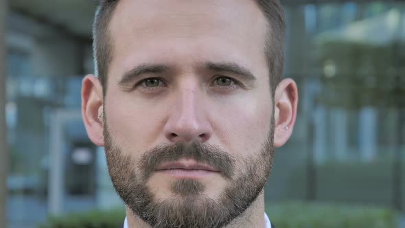 Serious Face of Beard Businessman alt