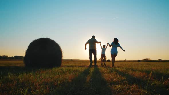 Happy Family Parents and Little Son Silhouettes Playing on Park alt