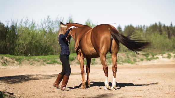 Young Female Equestrian Does Gymnastics with Brown Horse During Training alt