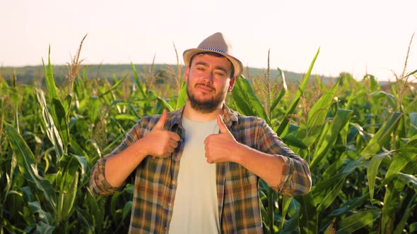Smiling Young Man Agronomist Stand in Field Showing Thumb Up in Corn Field Looking at Camera alt