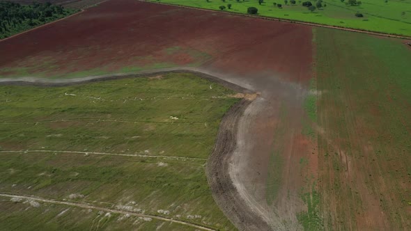 Farmland used for soybean production was once part of the Brazilian Savannah before deforestation - alt