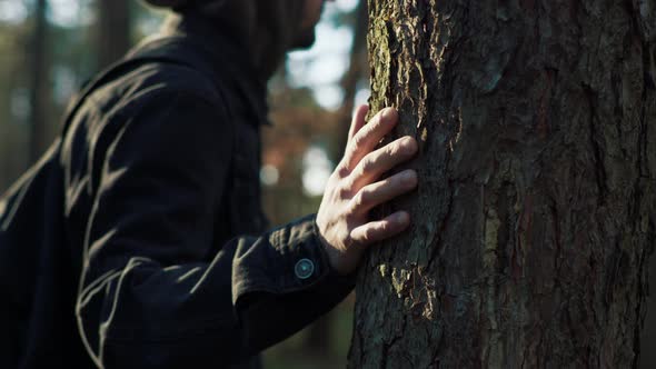 Man Touches a Pine Tree in the Forest alt