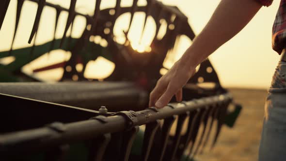 Farmer Stroking Hand Combine Agronomic at Golden Countryside Sunset Field alt