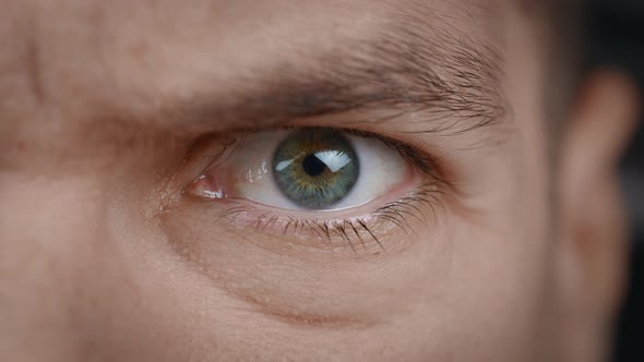 Closeup Portrait of Angry Man's Eye alt