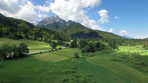 Beautiful green fields and mountain. Kranjska Gora. Slovenia