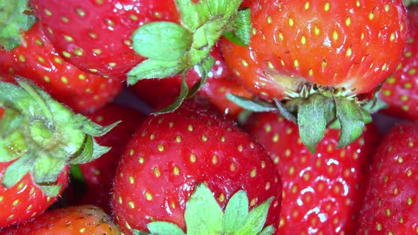 Ripe Red Strawberries Rotates Closeup