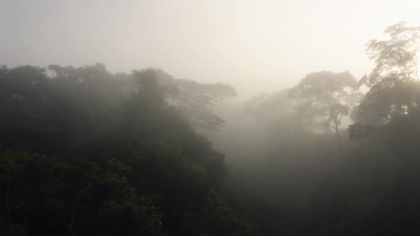 Aerial Drone View of Costa Rica Rainforest Canopy and Trees in Mist, Beautiful Misty Tropical Jungle alt