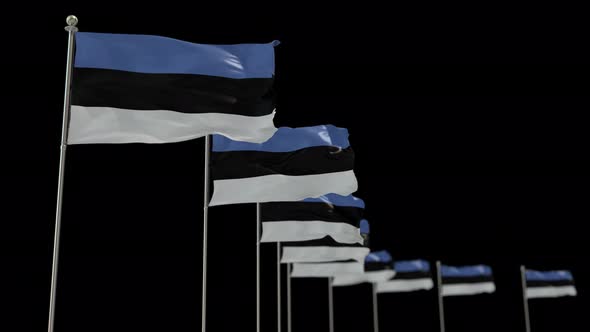 Estonia  Row Flag With Alpha