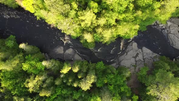 Aerial Over Gorge with Lush Green Forest alt