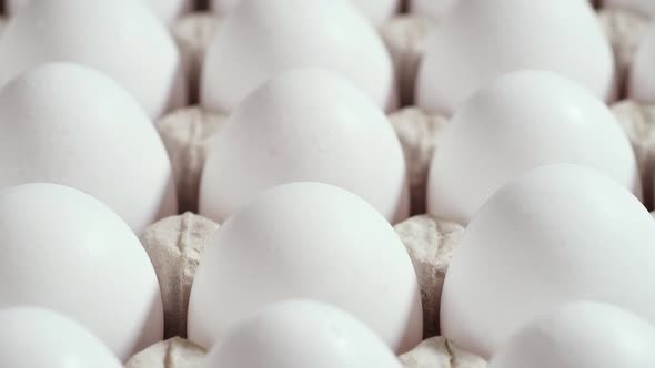 Lots of Fresh Raw Chicken Eggs in a Cardboard Box Rotation Shot Chicken White Fresh Raw Eggs in an alt