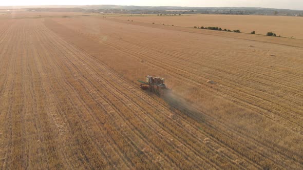 Aerial View on Combine Harvester Agriculture Machine Harvesting Golden Ripe Wheat Field at Sunset alt