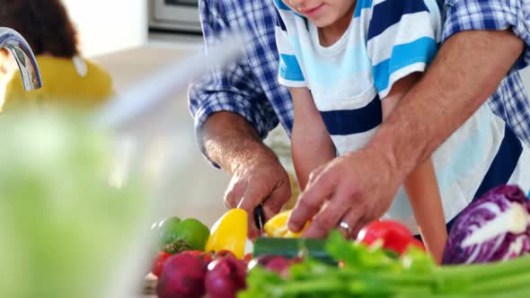 Father and son chopping vegetables in kitchen alt
