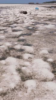 Vertical Video of Low Tide in the Ocean Near the Coast of Zanzibar Tanzania alt
