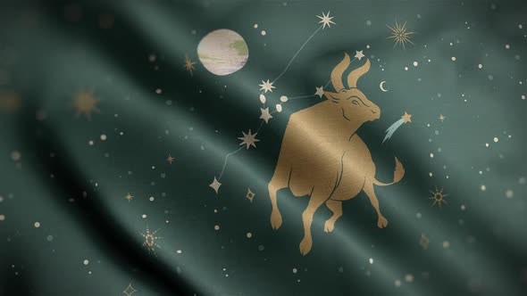 Taurus Zodiac Horoscope Video Flag Textured Background Close Up HD