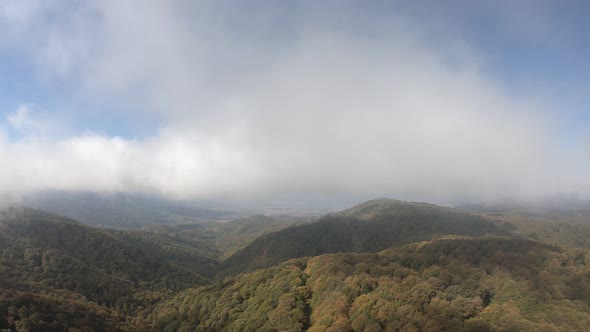 Sabaduri Mountain. Autumn forest. Georgia alt