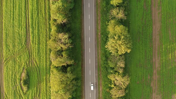 Aerial Drone Footage Tracking a Car