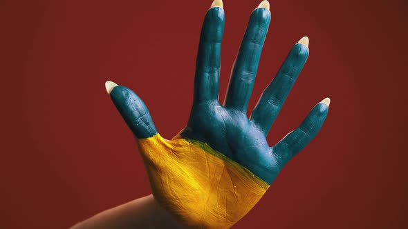Palm of the Girl with the Flag of Ukraine Symbolizes Peace in Her Country alt
