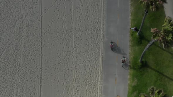 AERIAL Birds View Flight Over Venice Beach Boardwalk with Palm Trees and Bike Lane, Sunny, Los alt