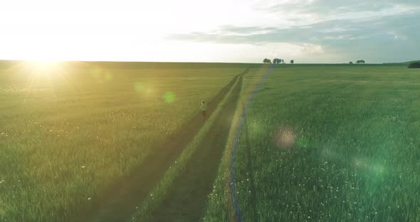 Sporty Child Runs Through a Green Wheat Field alt