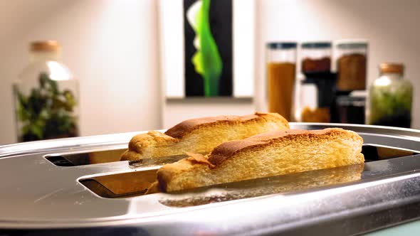 Toast Popping Out Of Toaster alt