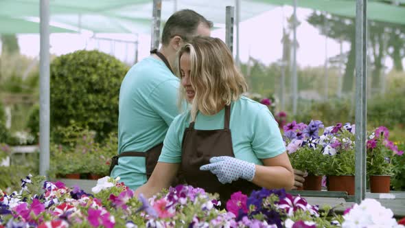 Couple of Happy Florists Selecting Potted Plants for Sale alt
