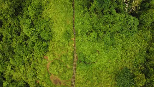 Beautiful cinematic Ubud, Bali drone footage with exotic rice terrace, small farms, campuhan ridge w alt